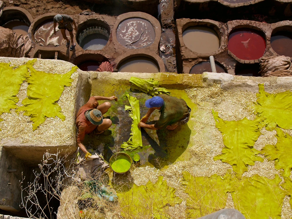 Fez heritage and cityscape